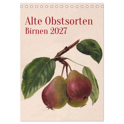 Alte Obstsorten - Birnen 2027 (Tischkalender 2027 DIN A5 hoch), CALVENDO Monatskalender