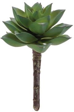 Melrose International Succulent Plant Pick (Set of 12)