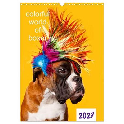 colorful world of boxer 2027 (Wandkalender 2027 DIN A3 hoch), CALVENDO Monatskalender