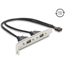 DELOCK USB 2.0 Slotblech mit 2 x EASY USB Typ-A Port