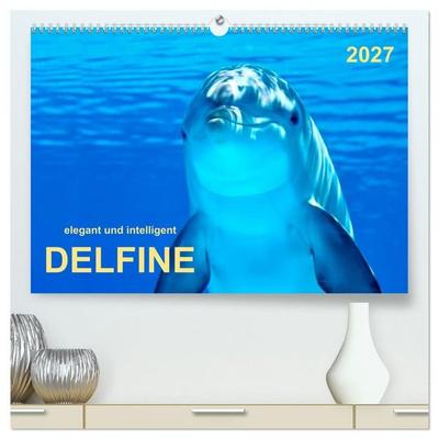 Delfine - elegant und intelligent (hochwertiger Premium Wandkalender 2027 DIN A2 quer), Kunstdruck in Hochglanz