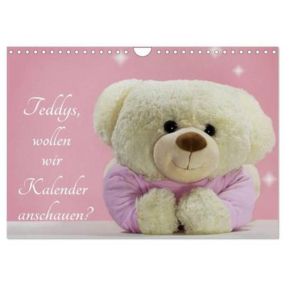 Teddys, wollen wir Kalender anschauen? (Wandkalender 2027 DIN A4 quer), CALVENDO Monatskalender