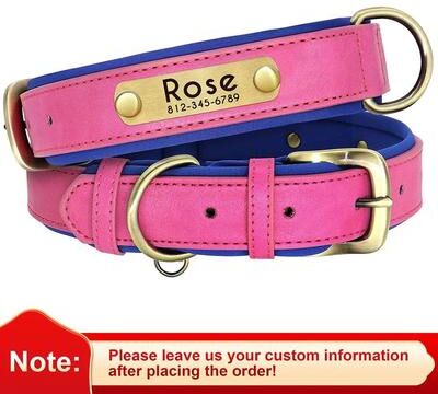 Uplifted Finds Customized Padded PU Leather Nameplate Collar rose Red m