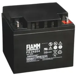 Fiamm Lead Acid Battery 12V 42Ah (12 V)