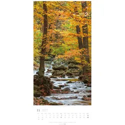 Weingarten, Kalender, Im Wald Kalender 2027