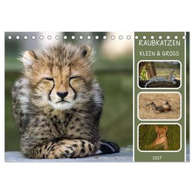 Raubkatzen - groß & klein (Tischkalender 2027 DIN A5 quer), CALVENDO Monatskalender