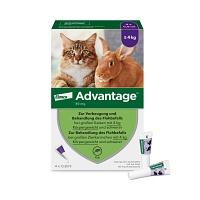 ADVANTAGE 80 mg f.gr.Katzen u.gr.Zierkaninchen 4X0.8 ml
