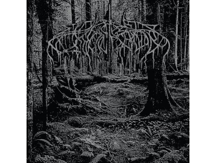 Wolves In The Throne Room