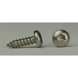 ISO 14585 - Edelstahl A4 - 4,8x100 - Blechschrauben mit Linsenkopf - TX25 - Form C