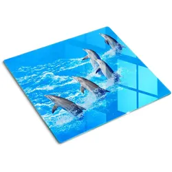 GLASPLATTE 60x52 cm Delfine