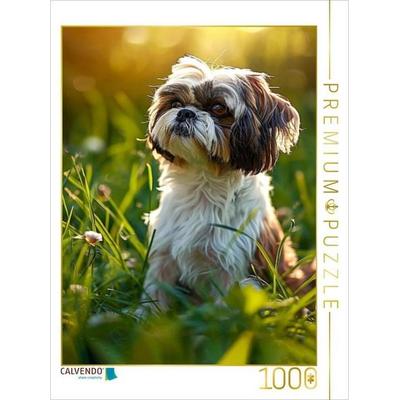 CALVENDO Puzzle Shih Tzu, soll ich mich im Gras verstecken | 1000 Teile Lege-Größe 64x48cm Foto-Puzzle für glückliche Stunden, Sonstige von , Calvendo