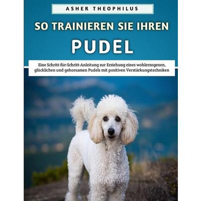 So Trainieren Sie Ihren Pudel, Taschenbuch von Asher Theophilus, Independently Published