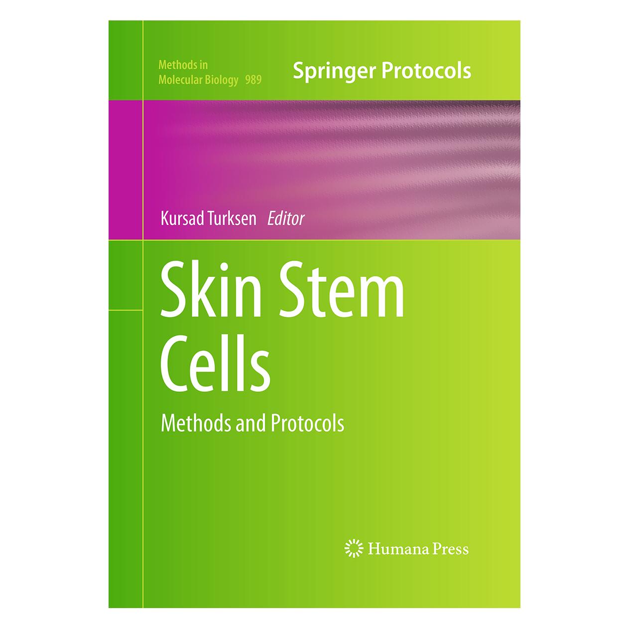 Springer Skin Stem Cells (Englisch, Softcover, Kursad Turksen) (55965702)