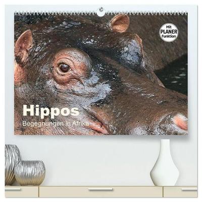 Hippos - Begegnungen in Afrika (hochwertiger Premium Wandkalender 2027 DIN A2 quer), Kunstdruck in Hochglanz