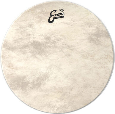 Evans "16" EQ4 Calftone Bass Drum"