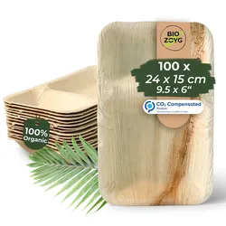 BIOZOYG 100 Stück Einwegteller Menüschale 24x15cm, Palmblatt Geschirr, Palmblatt Teller, rechteckige Menüteller mit 2 Kammern, biologisch abbaubar