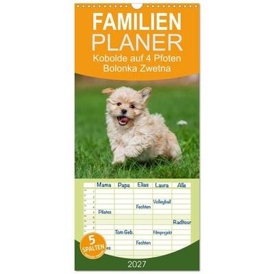 Familienplaner 2027 - Kobolde auf 4 Pfoten - Bolonka Zwetna mit 5 Spalten (Wandkalender, 21 x 45 cm) CALVENDO