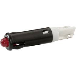 Signal Construct SKRD05204 LED-Signalleuchte Grün 24 V/DC