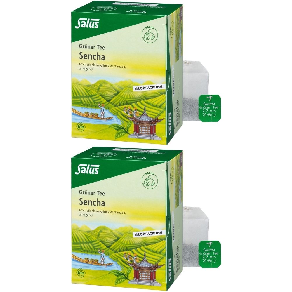 Grüner TEE Bio Salus Filterbeutel Großpackung 2x 2x40 St