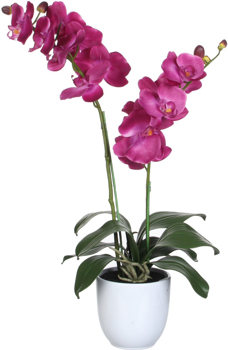 Mica Decorations Kunstplant Orchidee - Roze - H66 x B38 cm