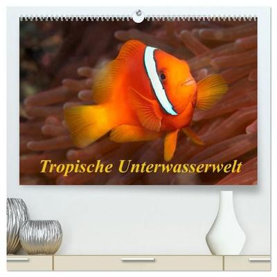 Tropische Unterwasserwelt (hochwertiger Premium Wandkalender 2027 DIN A2 quer), Kunstdruck in Hochglanz