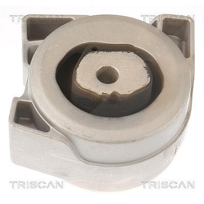 Triscan Lagerung, Motor [Hersteller-Nr. 850523200] für Mercedes-Benz
