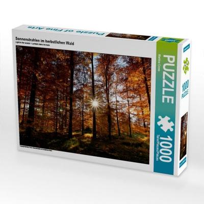 CALVENDO Puzzle Sonnenstrahlen im herbstlichen Wald | 1000 Teile Lege-Größe 64x48cm Foto-Puzzle für glückliche Stunden
