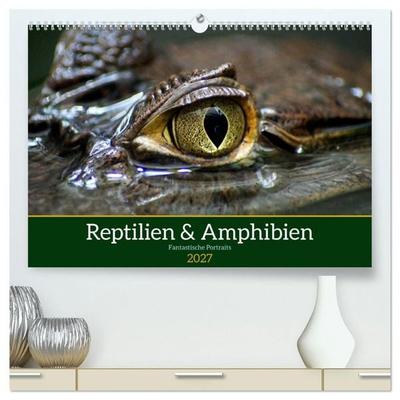 Reptilien & Amphibien Portraits (hochwertiger Premium Wandkalender 2027 DIN A2 quer), Kunstdruck in Hochglanz