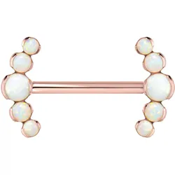 Titan Barbell mit Push Fit 5 SYNTHETISCHE OPALE