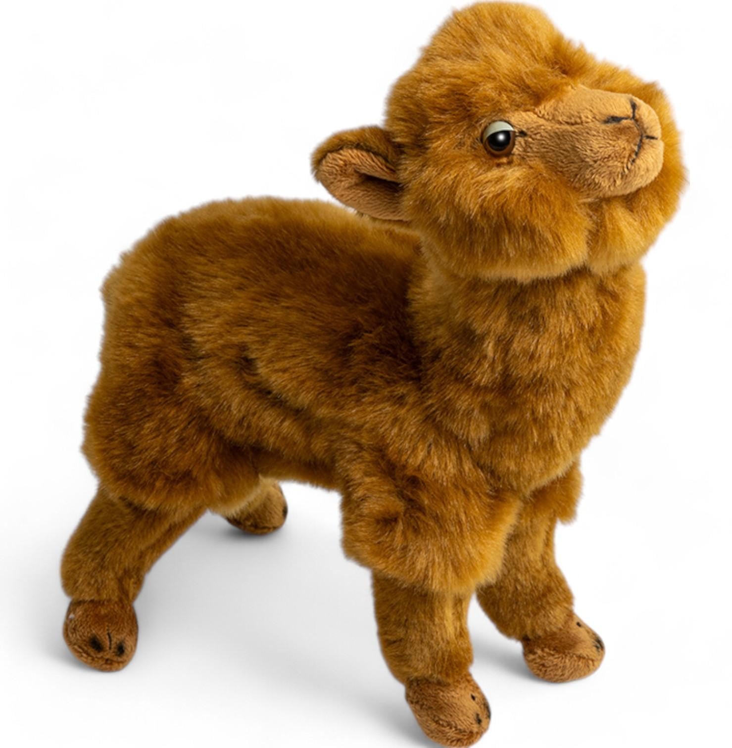 Carl Dick Alpaca pluche knuffel, bruin, Hoogte: 21 cm, Lengte: 21 cm