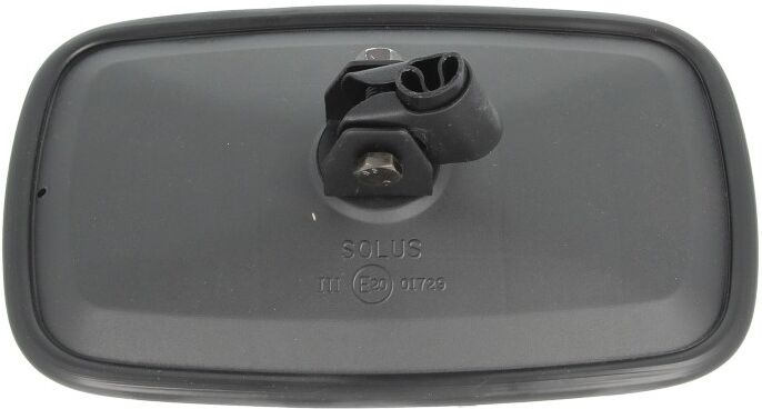 RYWAL LS 0026 Wing mirror, driver cabin