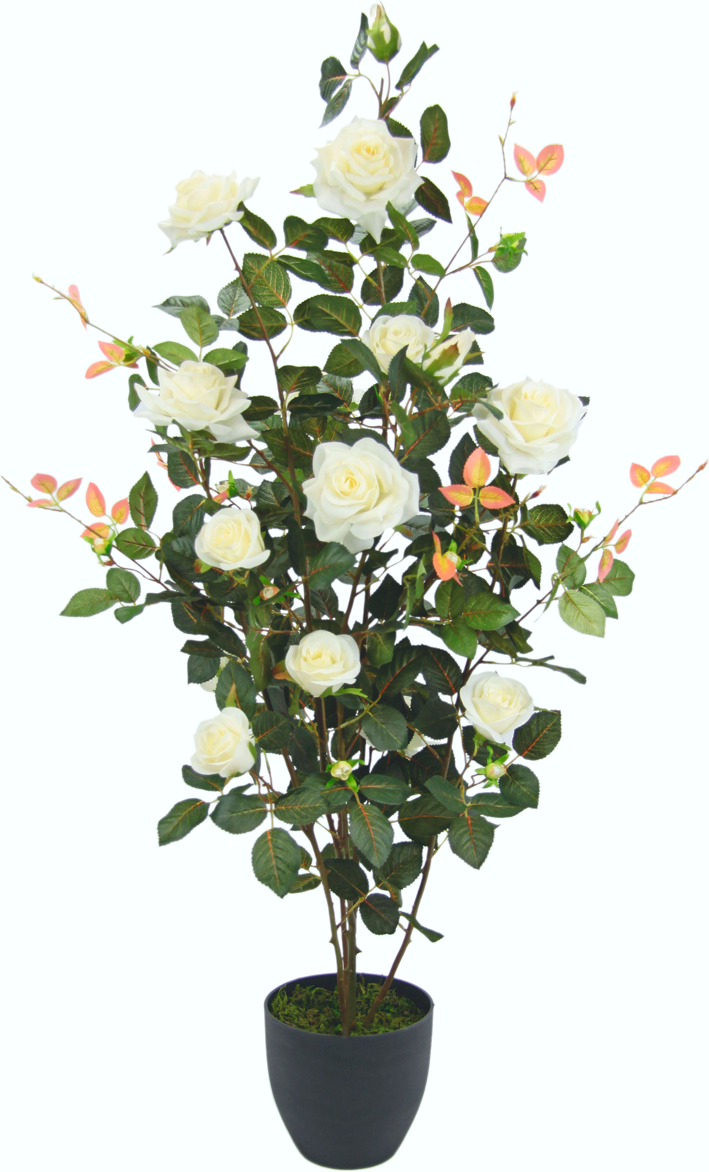 Kunstbaum I.GE.A. "Rosenbusch im Topf", weiß, B:45cm H:115cm L:45cm, Obermaterial: 95% Polyester, 5% Kunststoff, Kunstpflanzen, Kunstbaum, Kunstrosen Kunstpflanzen Rosenstrauch Deko Hochzeit