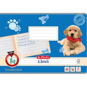 Herlitz Schreiblernheft 1957737 x-book Lineatur 1q, A5 quer, 16 Blatt