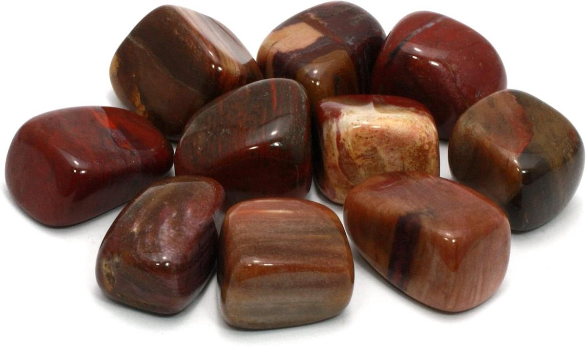 Fossiel Hout Steen Tumble Stone Siersteen voor Tuindecoratie - Wortel Chakra - Bruin - 20-25mm