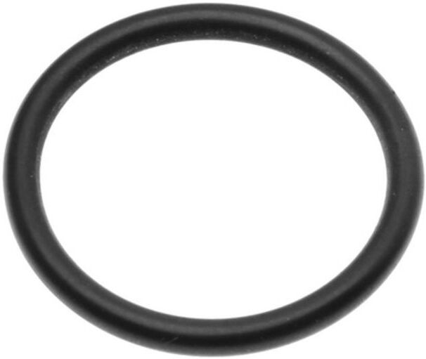 Gummi-O-Rings LEMA LE123095