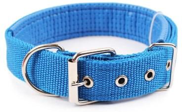 Uplift Essentials Solid Nylon Dog Collar blue 2xl