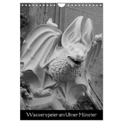 Wasserspeier am Ulmer Münster (Wandkalender 2026 DIN A4 hoch), CALVENDO Monatskalender