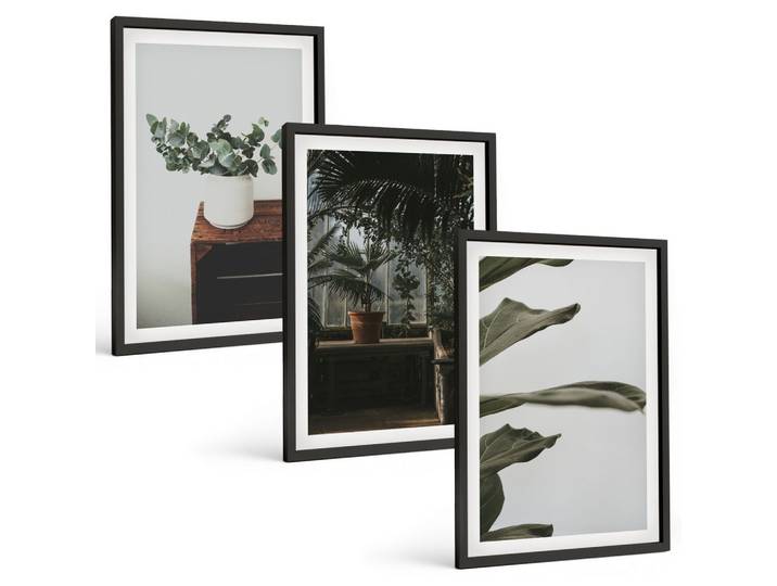 BILDER SET 3er Set - 40x60 cm Schwarzer Rahmen - Rustikale Topfpflanzen