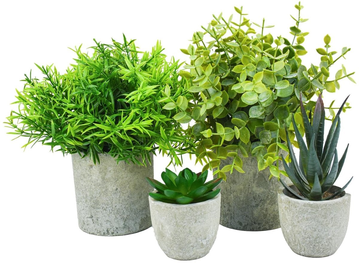 Dailygoods 4-delige set kunstplanten met potten - Eucalyptus, Rozemarijn en Vetplanten