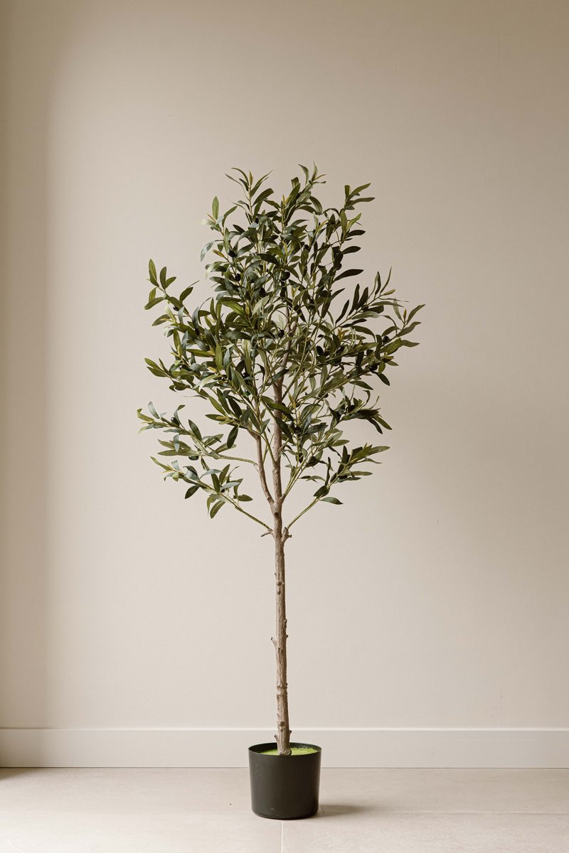 Indore Home Silva Kunst Olijfboom 155 cm – Mediterrane Kunstplant voor in huis