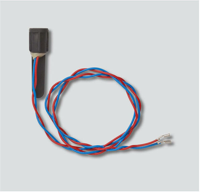 Siedle&Söhne; Microphone for TLE 051 200029839-00 (200029839-00)