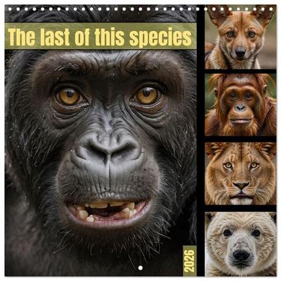 The last of this species (Wall Calendar 2026 12 × 12 Inch) CALVENDO 12 Month Wall Calendar