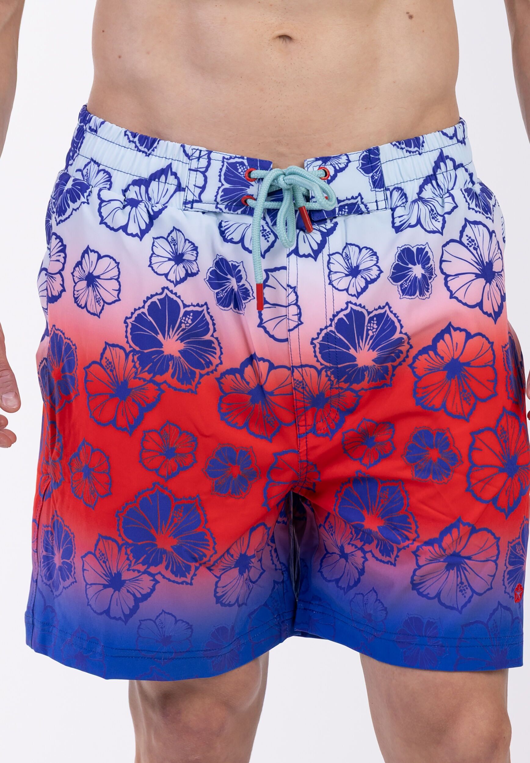 Badeshorts FROZEN CAPE "Frozen Cape Badeshorts RIBEIRA", Herren, Gr. M, bunt (blau), Casual, Badehosen Badeshorts, mit Unterhose aus Mesh