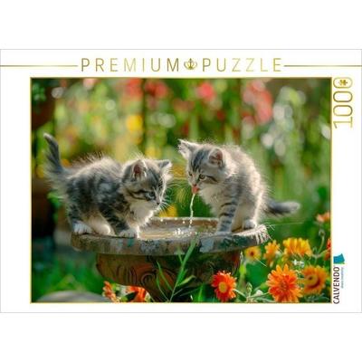 CALVENDO Puzzle Katzenbabys - Kleine Entdecker am Vogelbad | 1000 Teile Lege-Größe 64x48cm Foto-Puzzle für glückliche Stunden, von , Calvendo Puzzle