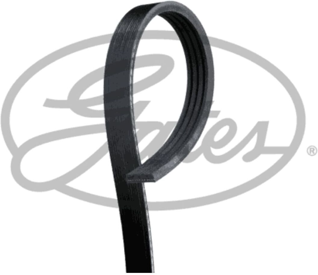 Gates Cinghia Poly-V 4PK1027HD