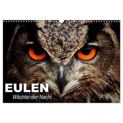 Eulen. Wächter der Nacht (Wandkalender 2027 DIN A3 quer), CALVENDO Monatskalender