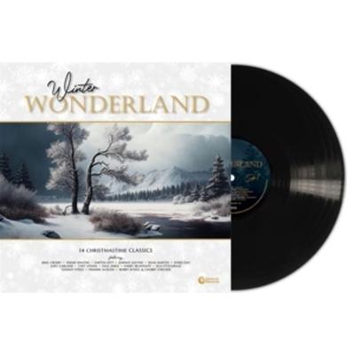 Winter Wonderland - Various, Vinyl