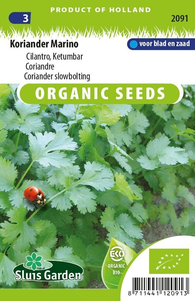 Sluis Garden Biologische Koriander zaden Marino BIO