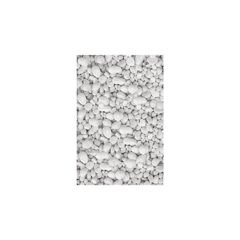 TETZNERJENT VETRO Glasscheibe KIESEL B 1200 x H 1800 mm Motivdruck 16971312