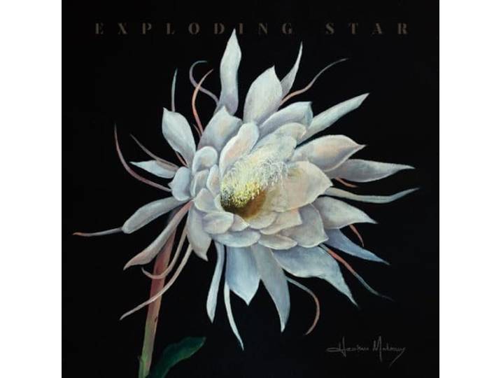 Exploding Star